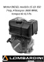 Motor lombardini